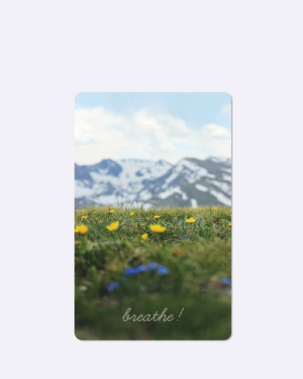 Mini Postkarten - Alm