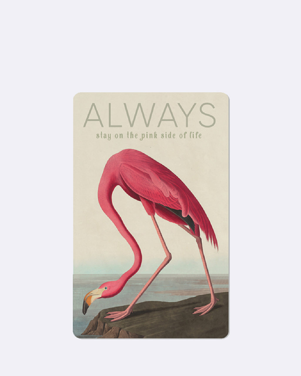 Mini Postkarten - Flamingo