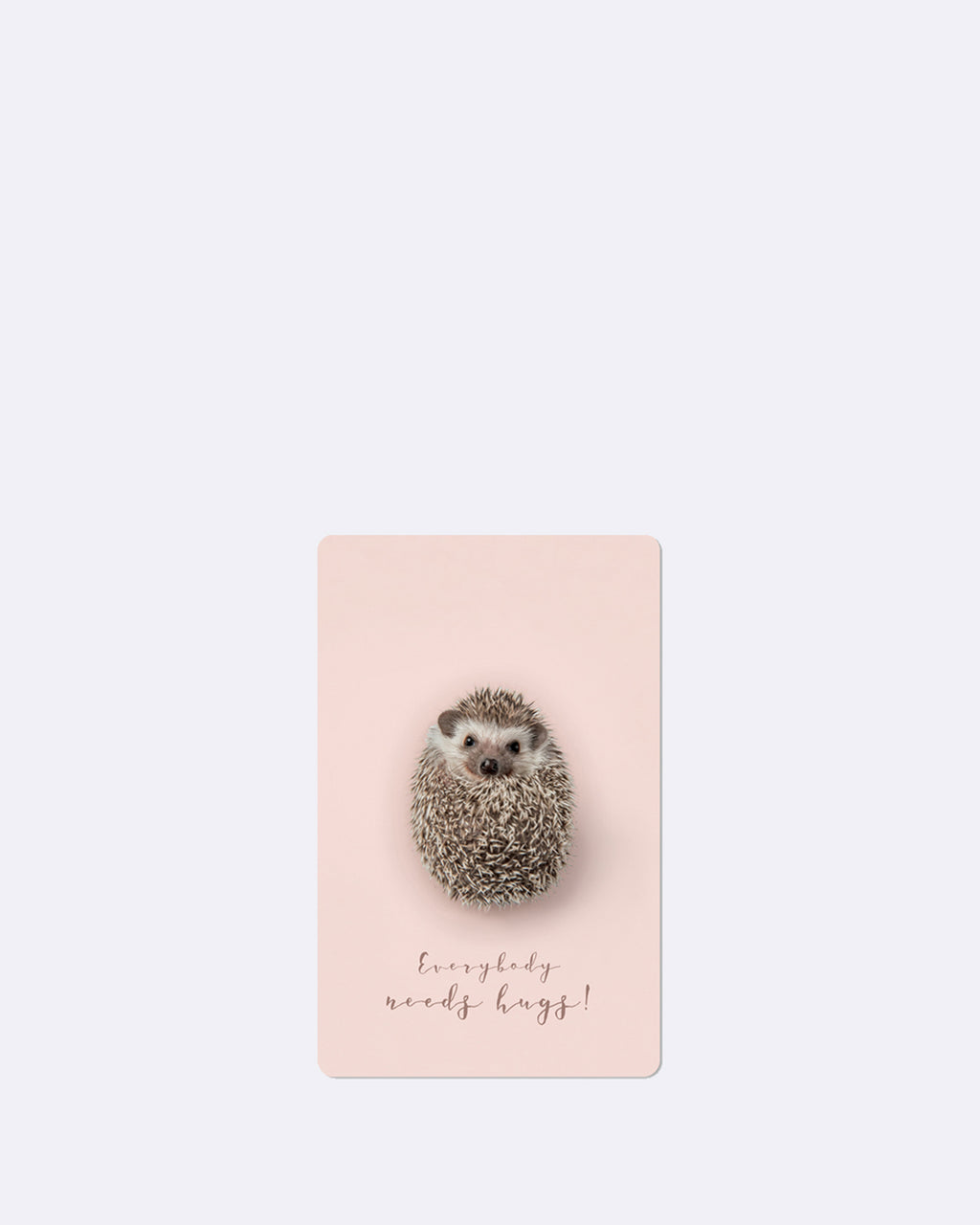 Mini Postkarten - Igel