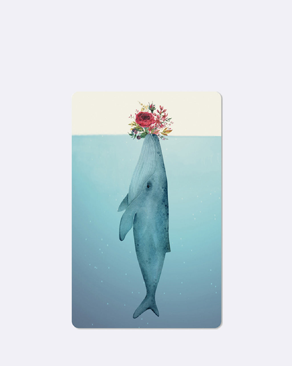 Mini cartes postales - Baleine