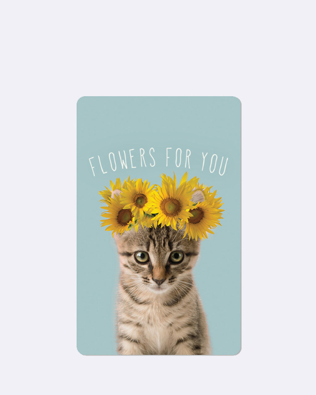 Mini cartes postales - Chat tournesol