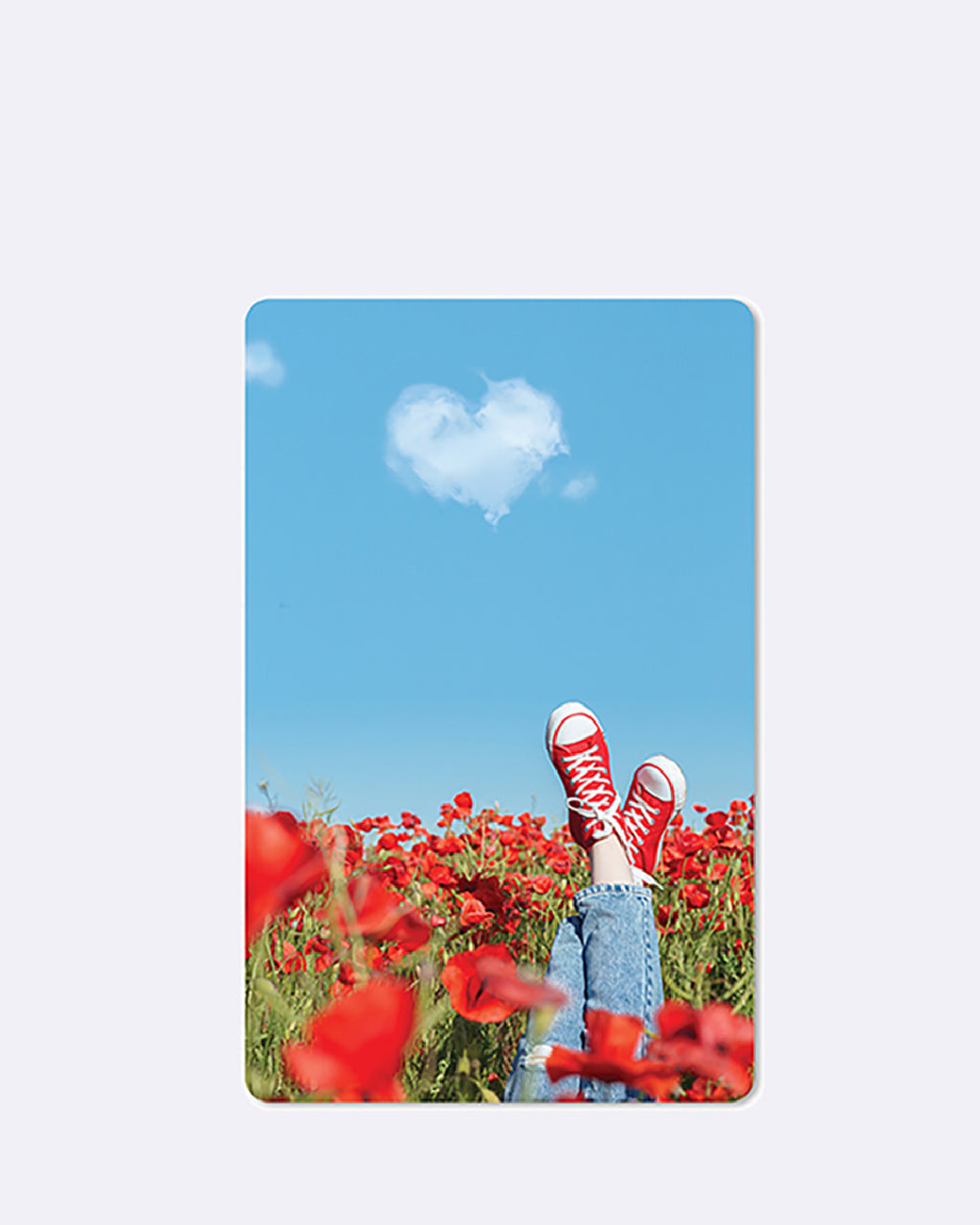 Mini cartes postales prairie fleurie