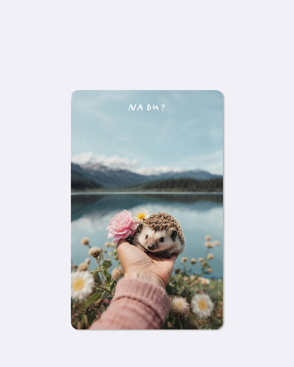 Mini Postkarten - Igel