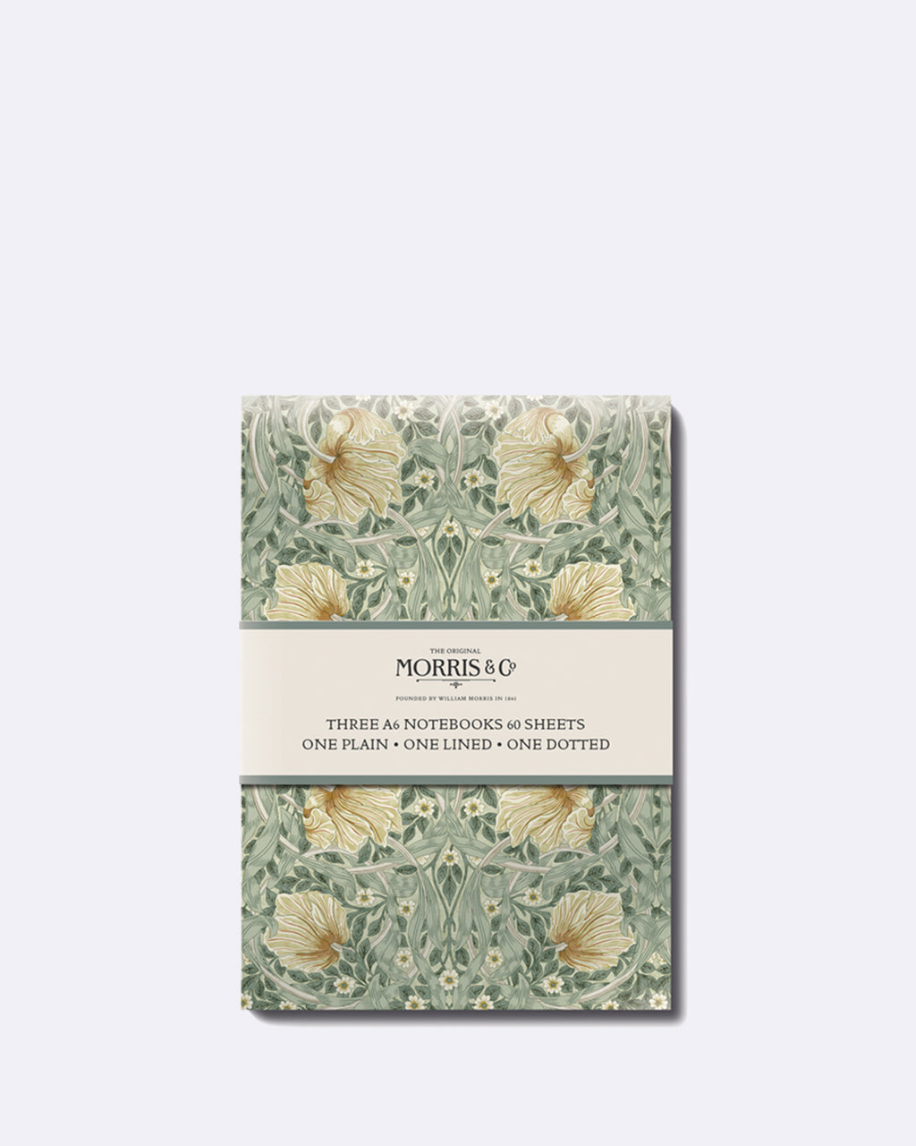Carnet A6, lot de 3, ligné, vierge, pointillé