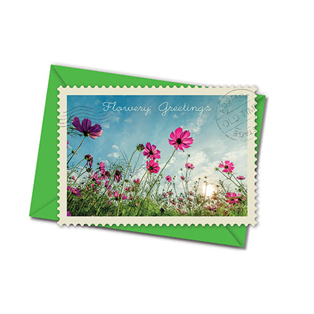 Postkarte mit Umschlag - verschiedene Motive und Anlässe - flowery greetings