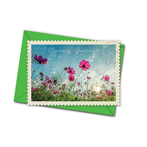 Postkarte mit Umschlag - verschiedene Motive und Anlässe - flowery greetings - Flowery Meadow