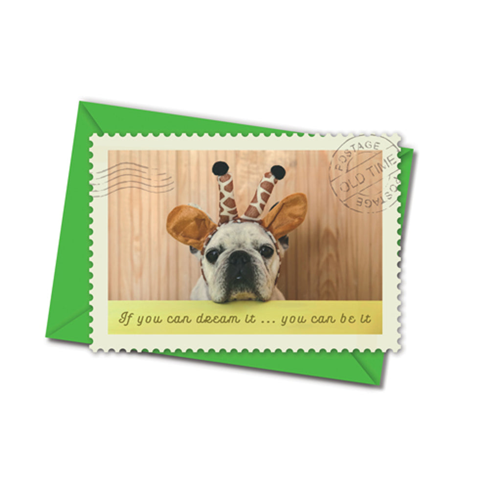 Postkarte mit Umschlag - Natur & Tiere - 1 +1 = happy - Frösche