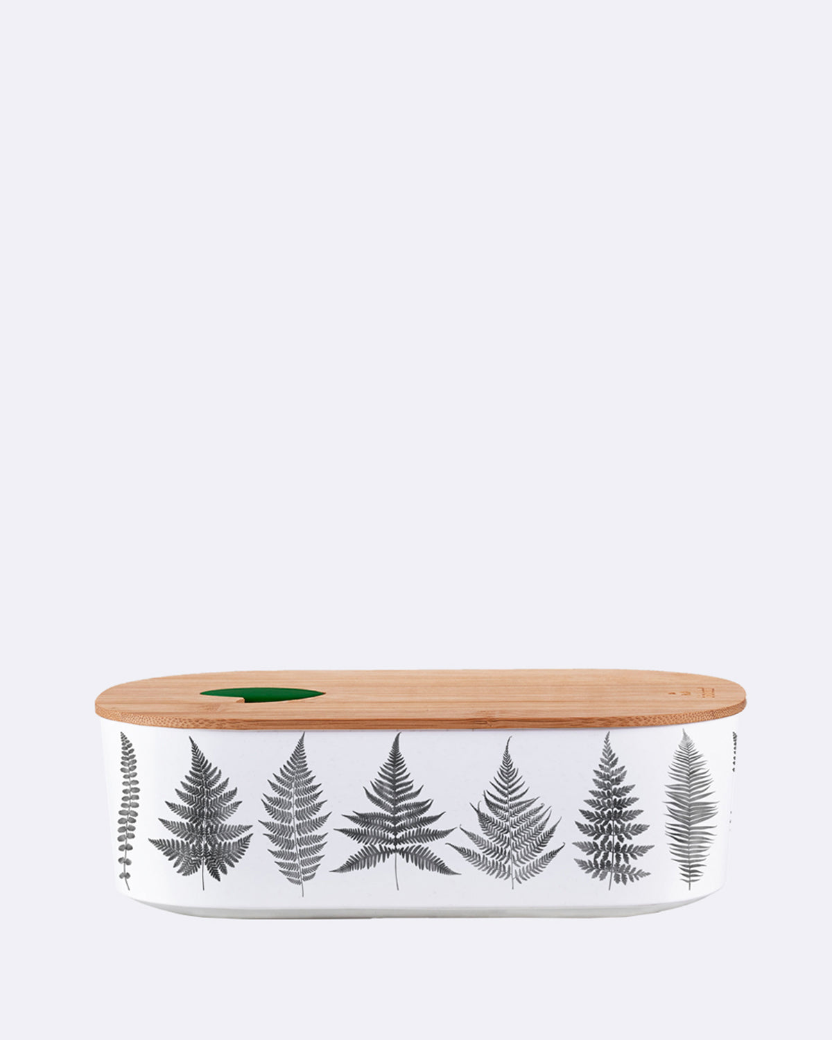 Ovale Lunchbox aus nachhaltigem PLA - bioloco plant lunchbox oval - black and white leaves - Brotdose - Blätter