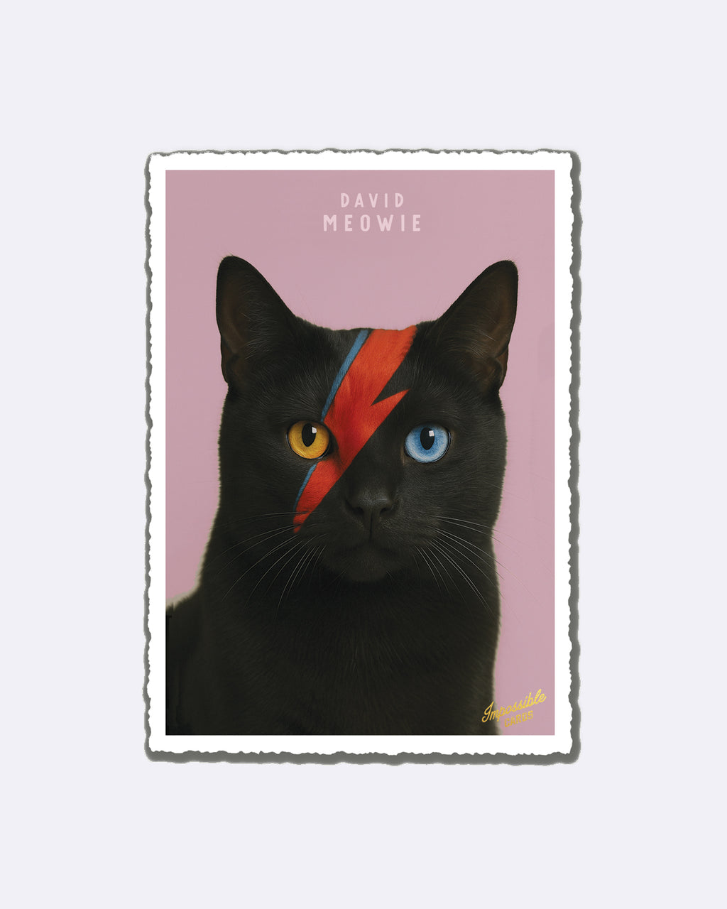Impossible Card Postkarte - David Meowie
