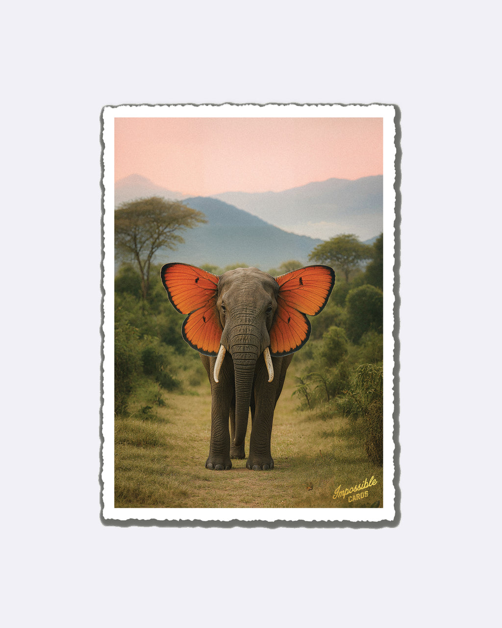 Mini cartes postales - Personne préférée