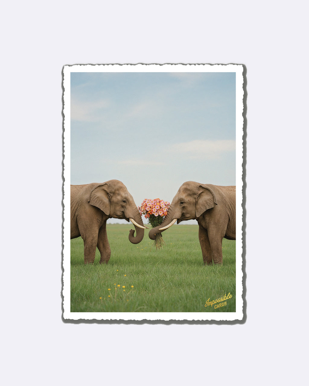 Impossible Card Postkarte - lovely Elephants
