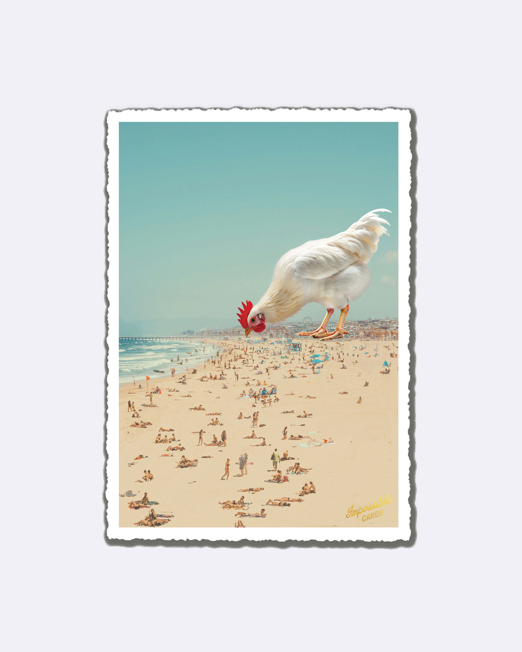 Impossible Card Postkarte - Strandhuhn