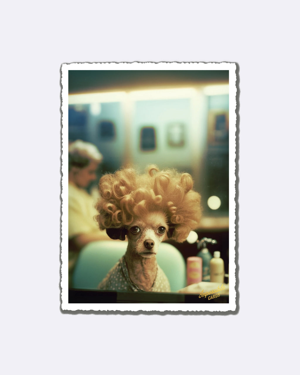 Impossible Card Postkarte - Lockenhund