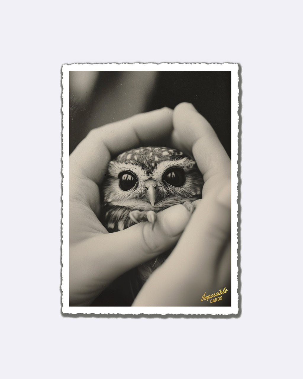 Impossible Card Postkarte - owl