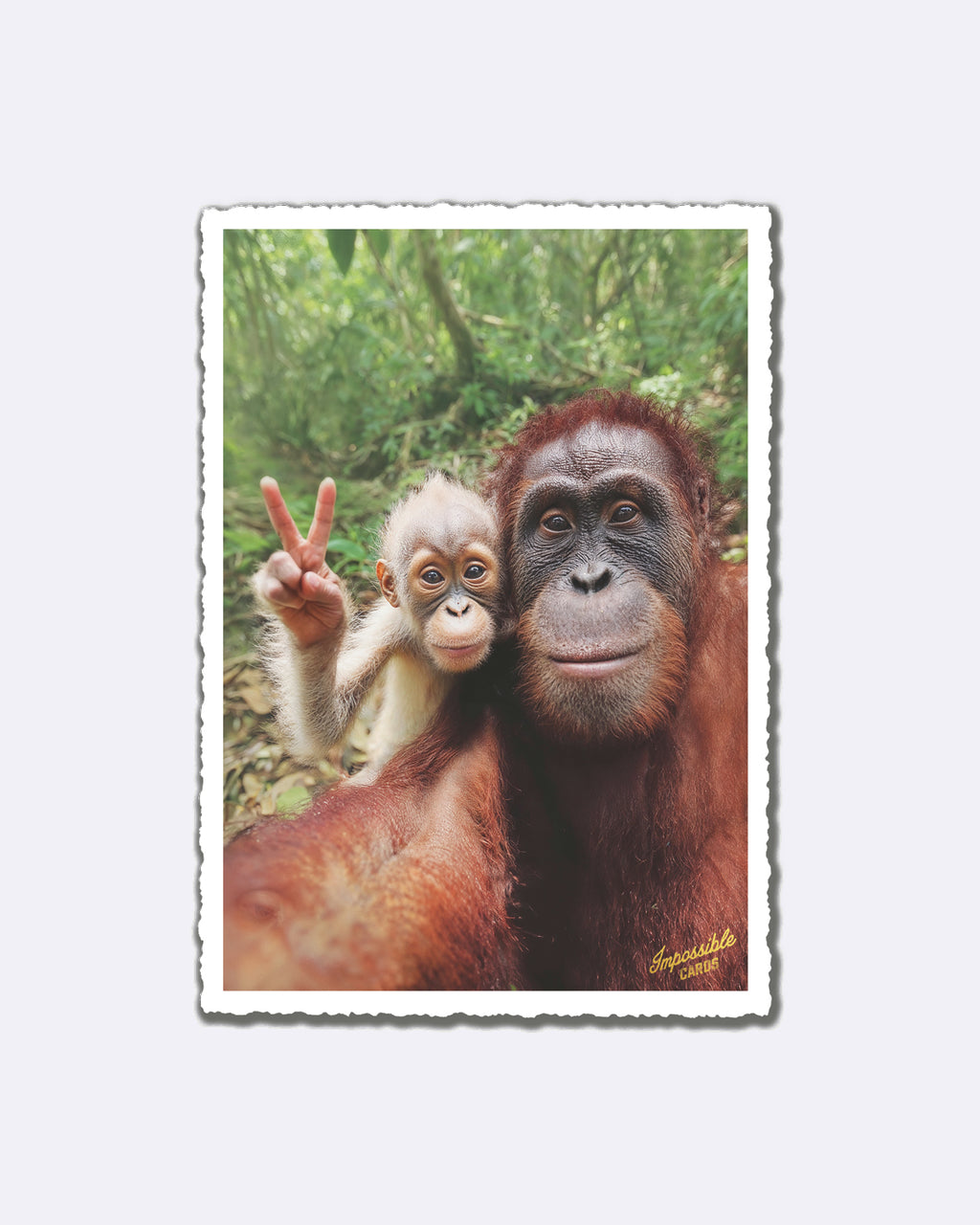 Impossible Card Postkarte - monkeys