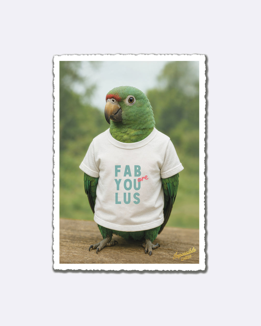 Impossible Card Postkarte - Papagei