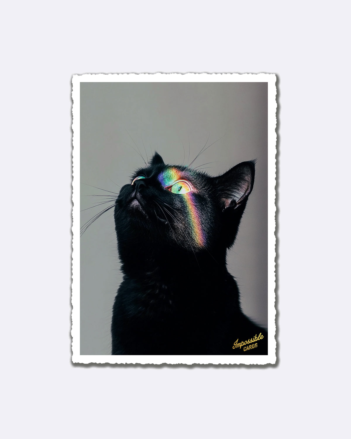 Postkarte mit schwarzer Katze und Regenbogenlichtern auf dem Gesicht mit Schriftzug "Impossible CARDS"