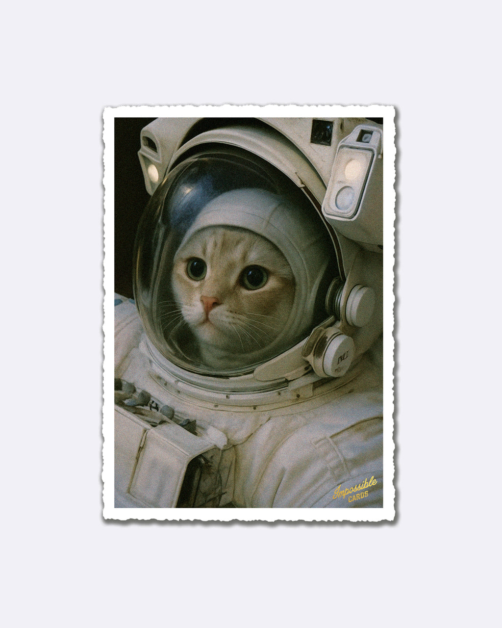 Impossible Card Postkarte - space traveler cat