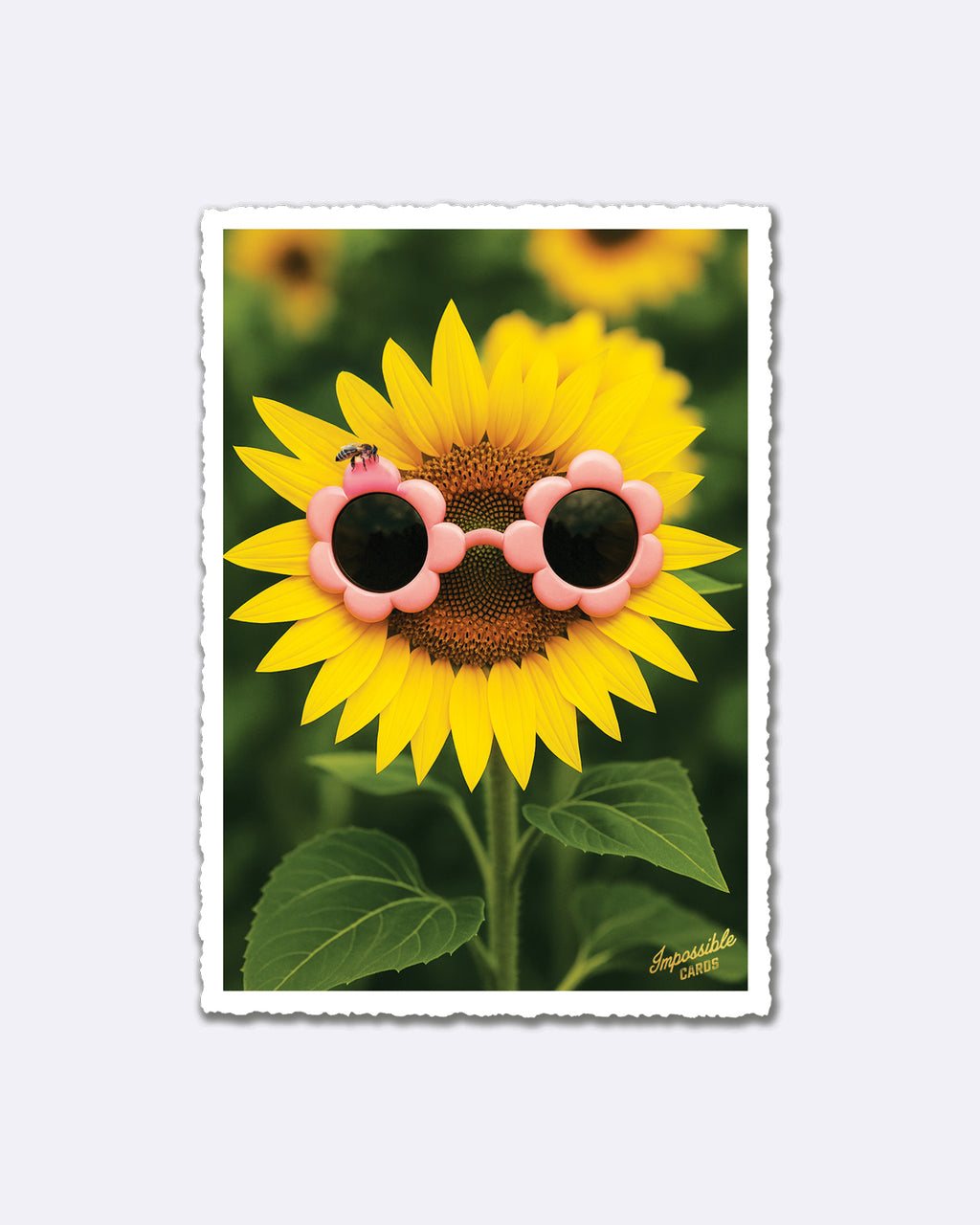 Impossible Card Postkarte - sunflower