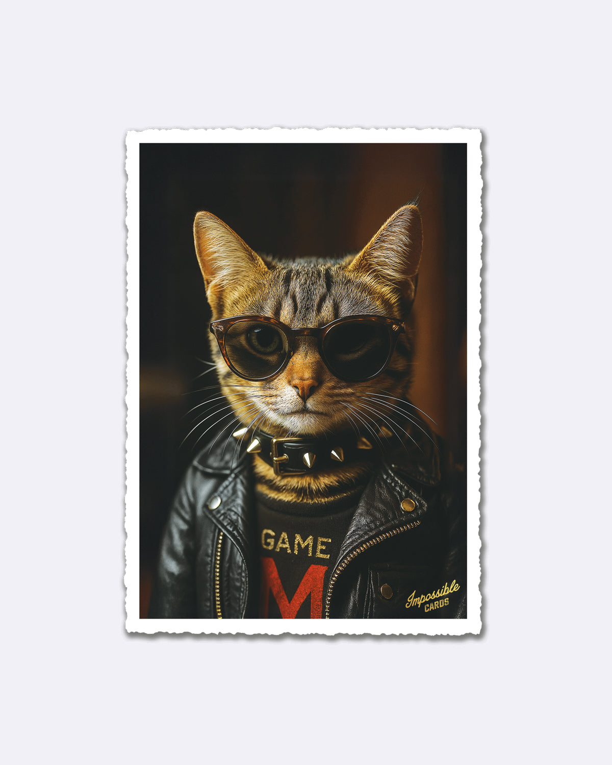 Postkarte mit Katze in Sonnenbrille und Lederjacke mit Schriftzug "Impossible Cards"