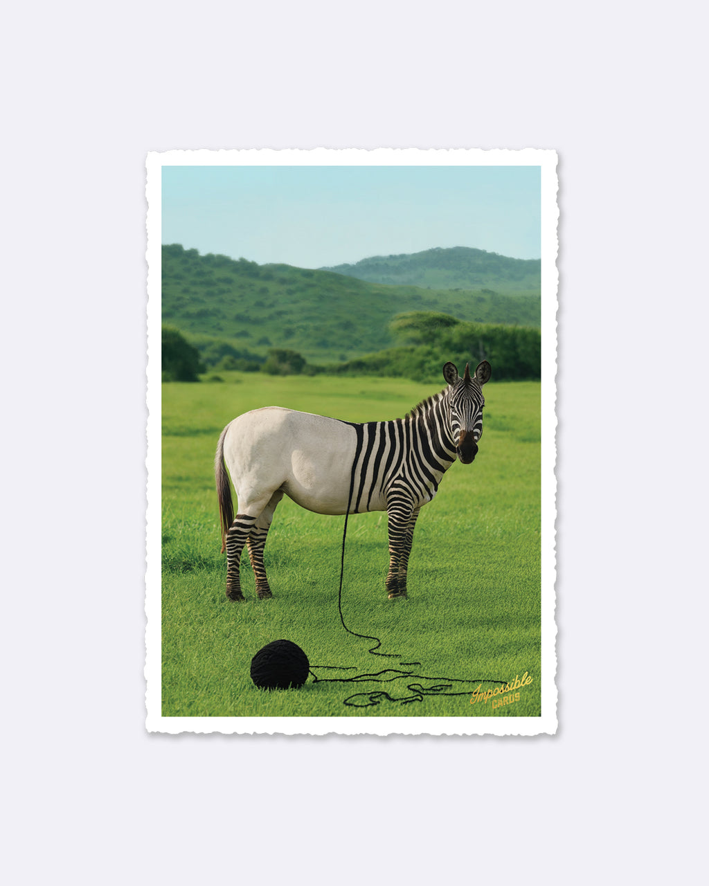 Mini Postcards - Favorite Person