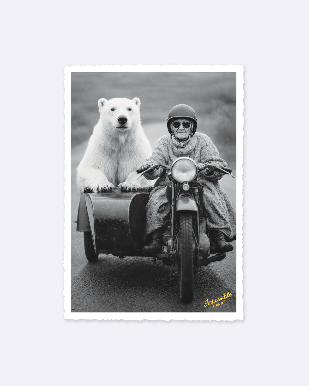 Impossible Card Postkarte - Eisbär Roadtrip