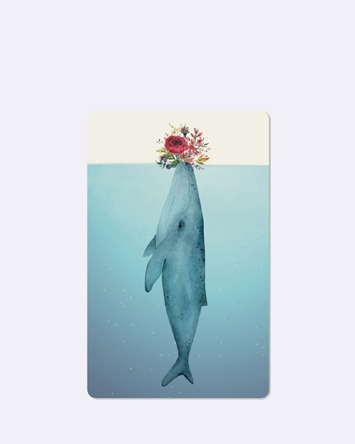 Postkarte in beige und blau mit abgebildetem Wal und Blumen