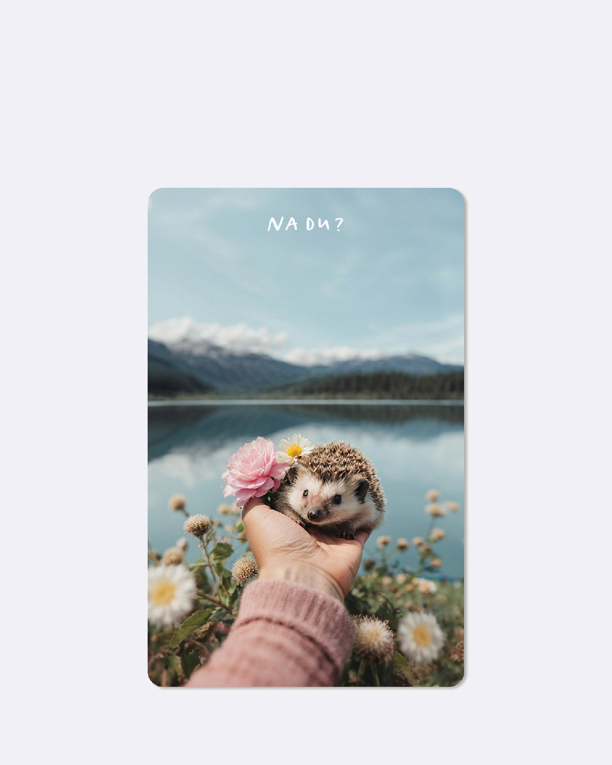 Postkarte mit abgebildetem See mit einem Igel