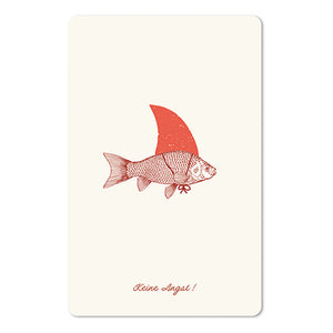 Mini Postkarten - 8,5 x 13,5 cm - Natur & Tiere - Fisch - Keine Angst