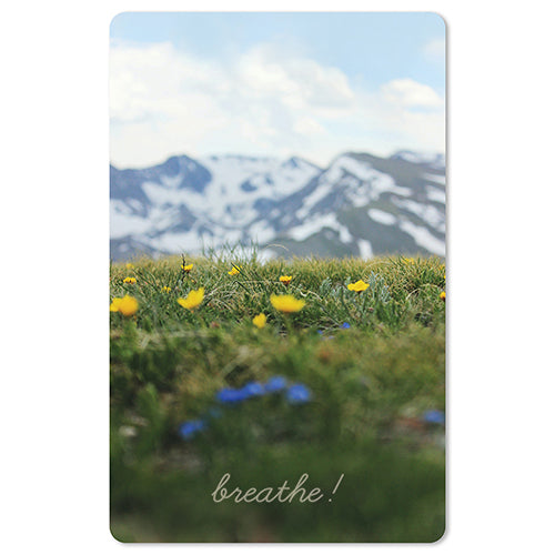 Mini Postkarten - Natur & Tiere