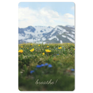 Mini Postkarten - 8,5 x 13,5 cm - Natur & Tiere - breathe