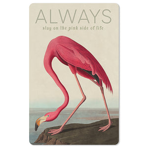 Mini Postkarten - 8,5 x 13,5 cm - Natur & Tiere - Flamingo - always stay on the pink side of life