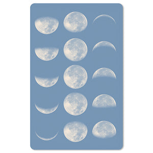 Mini Postkarten - 8,5 x 13,5 cm - Natur & Tiere - Mond