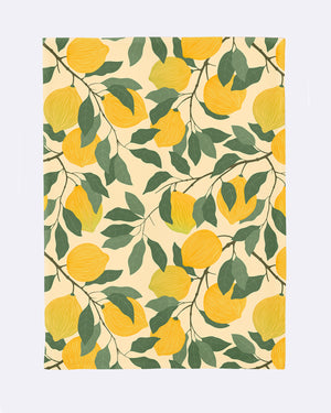 Organic Kitchen Towel